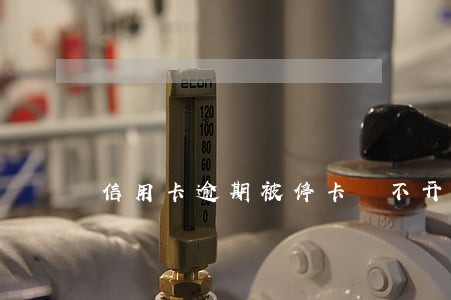 信用卡逾期被停卡 不开通吗 信用卡逾期被停卡 不开通吗